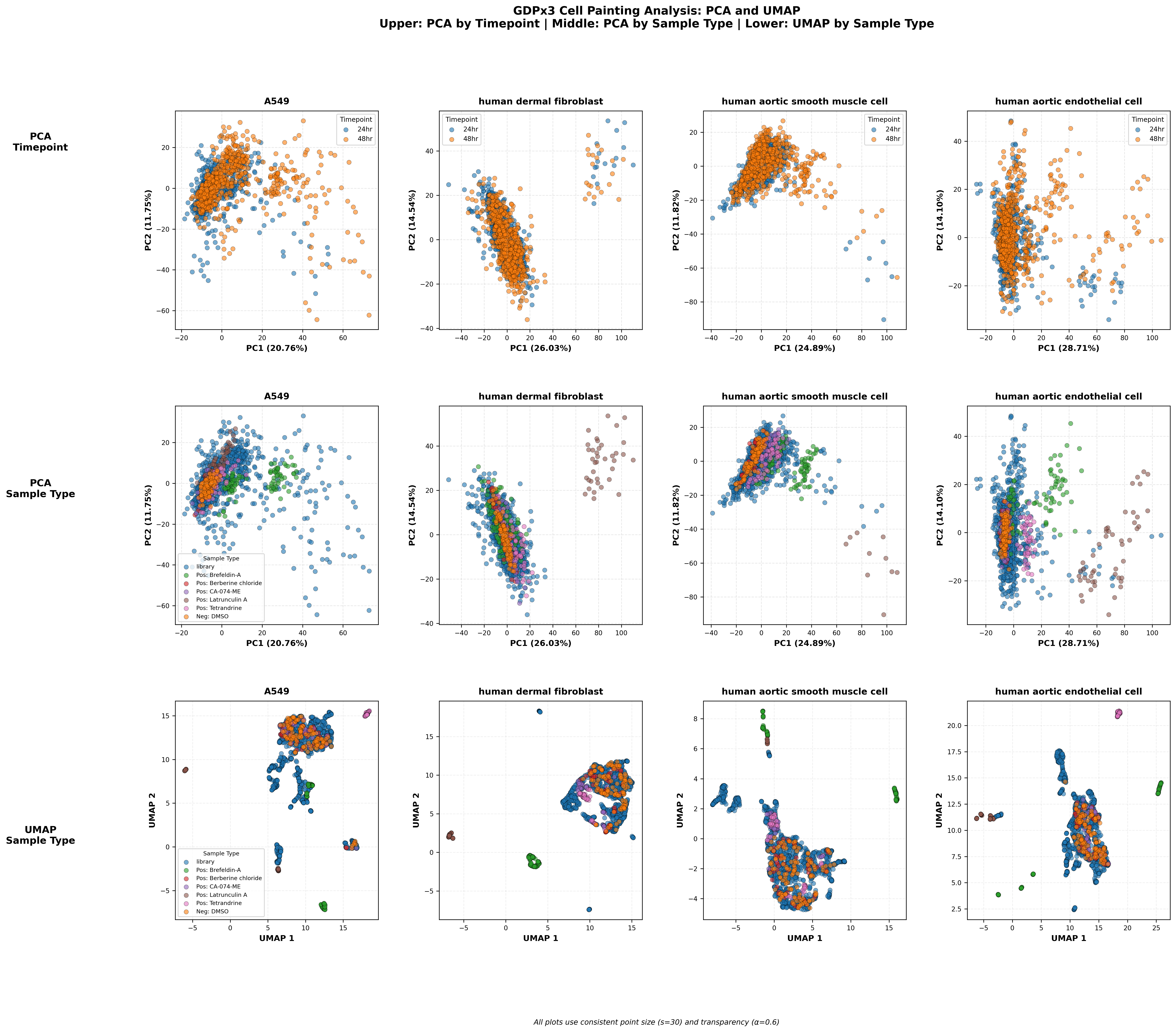 GDPX3 Cell Painting Analysis: PCA and UMAP